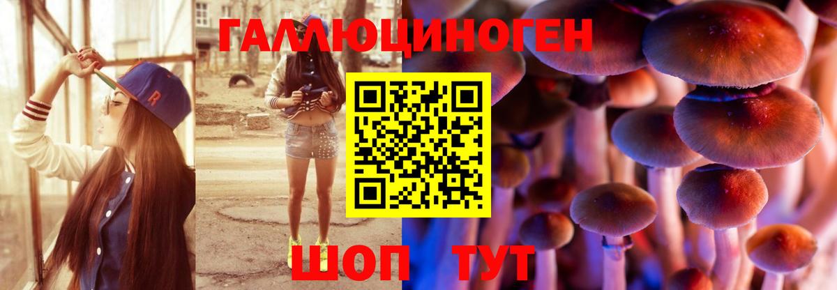 даркнет сайт  Псилоцибиновые грибы прущие грибы  Вход с VPN  Сокол 